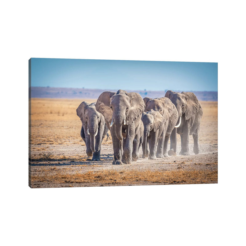 The Titans by Jeffrey C. Sink - Wrapped Canvas Print, 20.32cm H x 30.48cm W x 1.91cm D