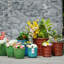 Pot de fleurs-123329324