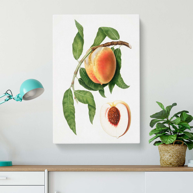 Juicy Peach Tree by Giorgio Gallesio - Wrapped Canvas, 50cm H x 35cm W x 3cm D