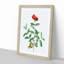Pomegranate Tree Branch by Pierre-Joseph Redoute - Picture Frame Painting Print-55601480-55601485