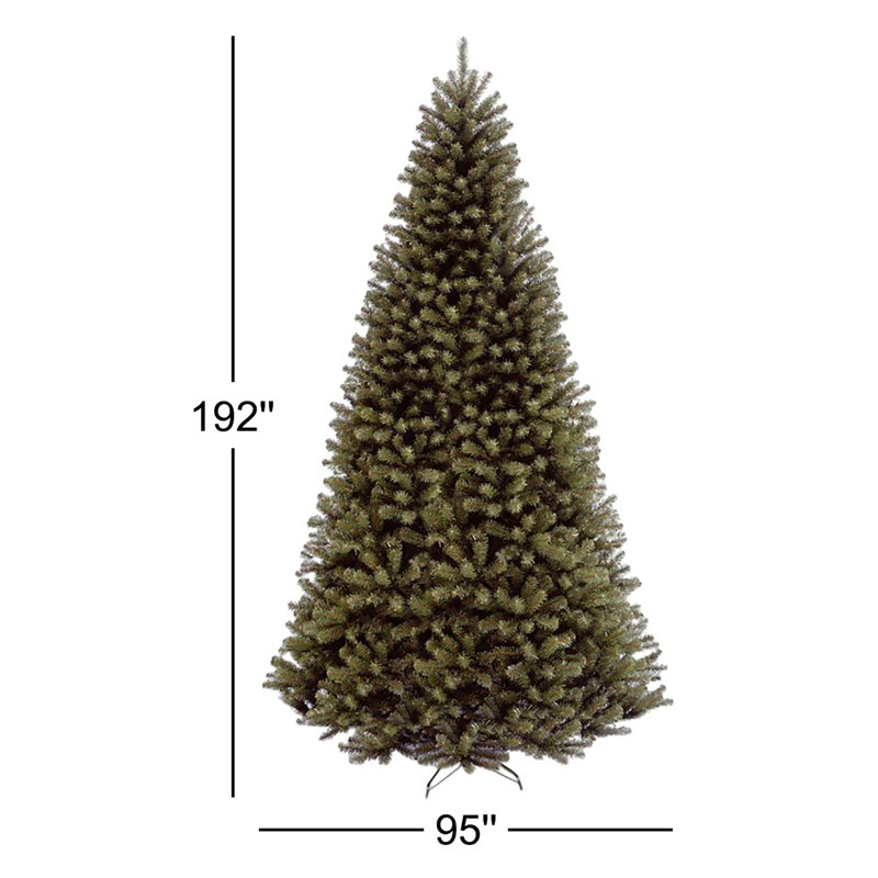14 Ft. North Valley Spruce Tree, 16' H