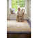 Borders Hand Braided Grey Rug