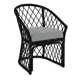 Raleigh Arm Chair