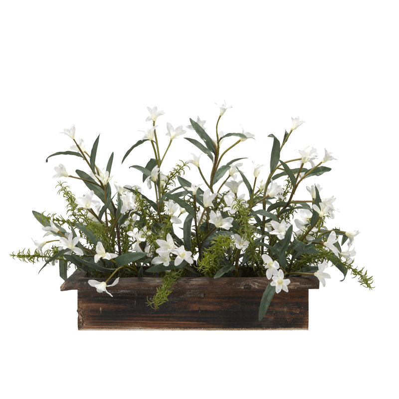 Plante florale pour bureau phlox, H 17,5 po x l 30 po x P 17 po