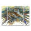 3 Panel Wall Art Set - Dave Bartholet 'Tigris' Canvas Wall Art for Living Room, Bedroom, or Office Decor by -2078702662