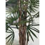 Lady Faux Palm Tree in Metal Planter-1347869576-1347869579