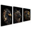 3 Piece Wrapped Canvas Print