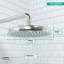 Raindance C 180 Rain Shower Head-3609284