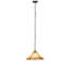 16" Wide Belvidere Pendant
