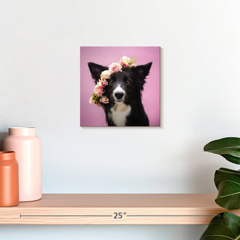 Border collie à fleurs Crowle, H 10 po x l 10 po
