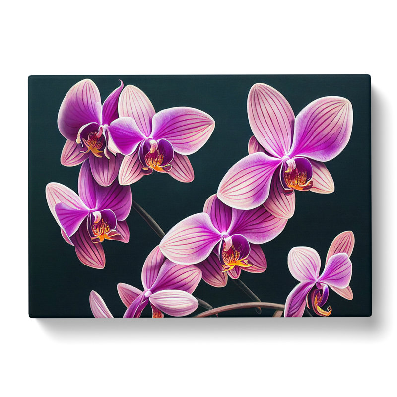 Evolving Orchid Flowers - Wrapped Canvas, 35cm H x 50cm W x 3cm D