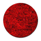 Bed Of Roses Print