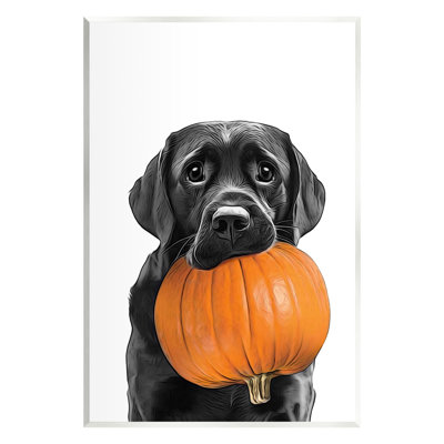 «Lab Dog With Pumpkin On MDF» par Annalisa Latella