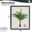 Cadre flottant Natural Palm-1679191791-1679191785