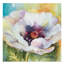«Glorious Colors» de Mattox, reproduction d'aquarelle sur toile tendue-30395638