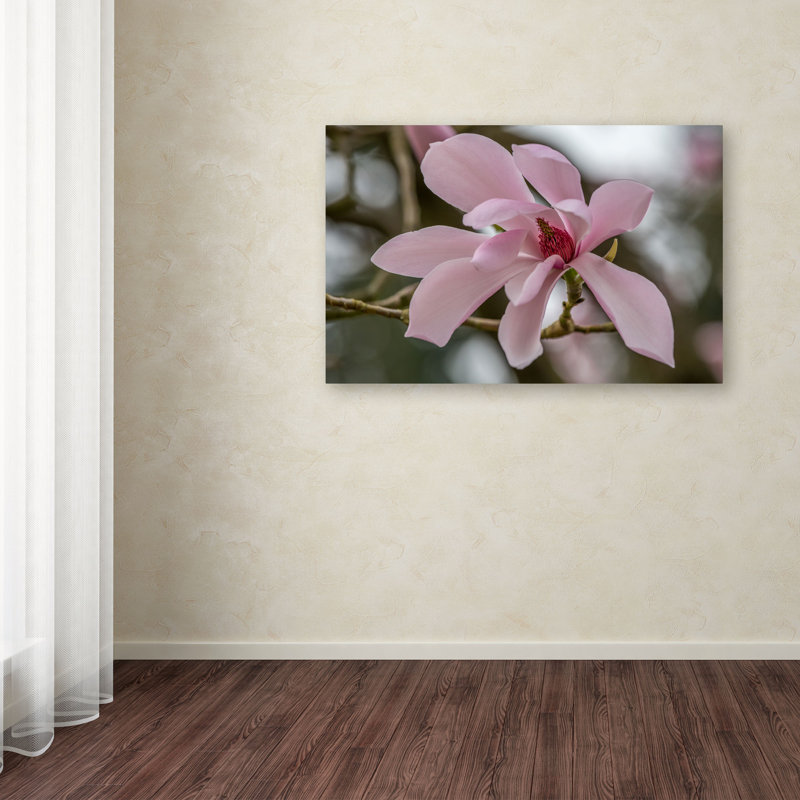 «Magnolia» par Pierre Leclerc - reproduction de photo sur toile tendue, H 30 po x l 47 po x P 2 po