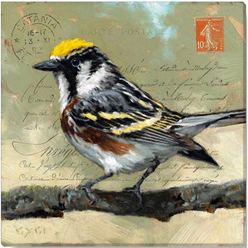 «Messenger Warbler», art mural numérique, H 20 po x l 20 po x P 1 po