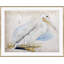 Sea Birds 1 Giclee Print