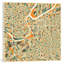 Abstract City Map Of Kansas City by Jazzberry Blue - Wrapped Canvas Print-50005630