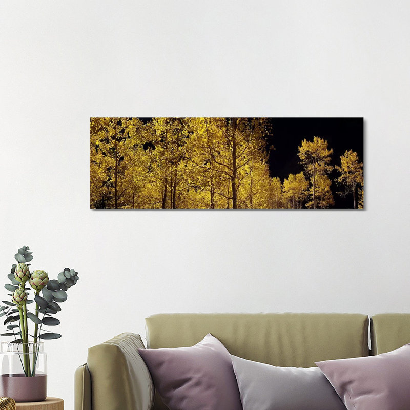 Aspen Trees In Autumn, Colorado, USA #3 - Wrapped Canvas Panoramic Print, 121.92 cm H x 40.64 cm W x 1.91 cm D
