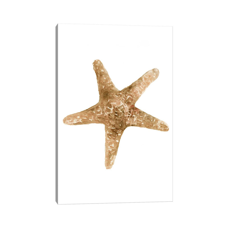 Neutral Shell Collection III by Stellar Design Studio - Gallery-Wrapped Canvas Giclée on Canvas, 66.04 cm H x 45.72 cm W