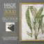 Greenhouse Fern I, reproduction encadrée - bois massif-2107954216-2107954262