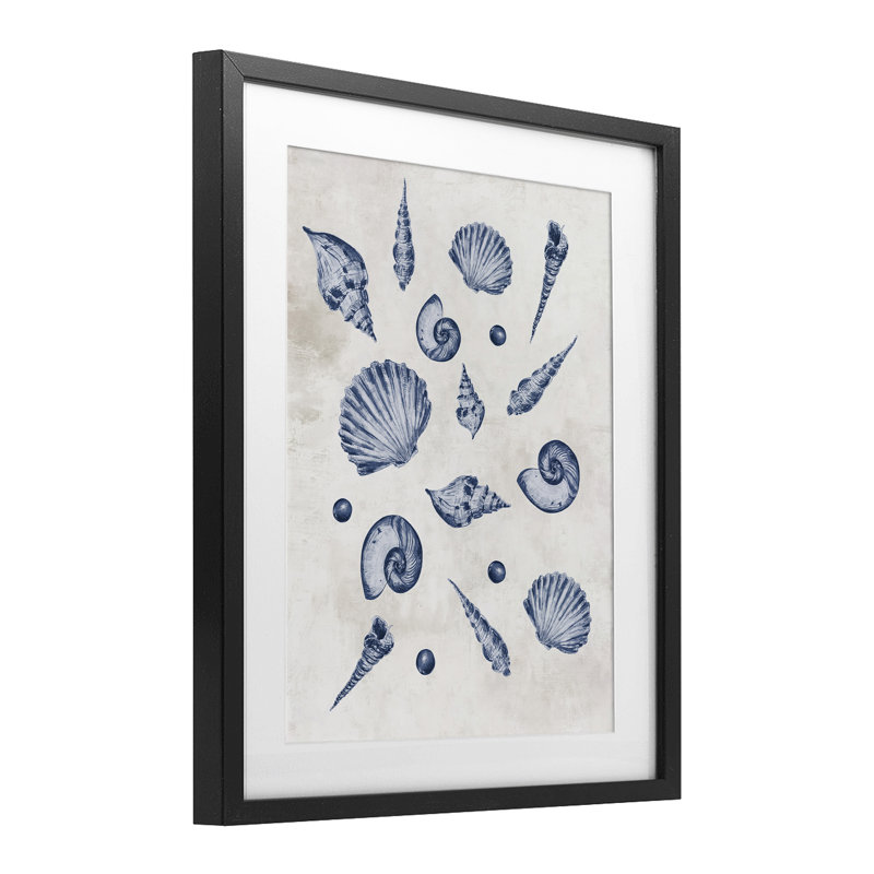 Motif de coquillages variés, reproduction encadrée sous verre, conception de Jacob Q, H 16 po x l 13 po, Cadre noir minuit