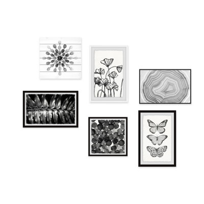 Turnalar 'Fleur de Noir' Hexaptych