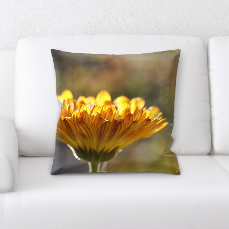 Coussin calendula