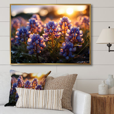 " Blue Bonnets Field Photo III "