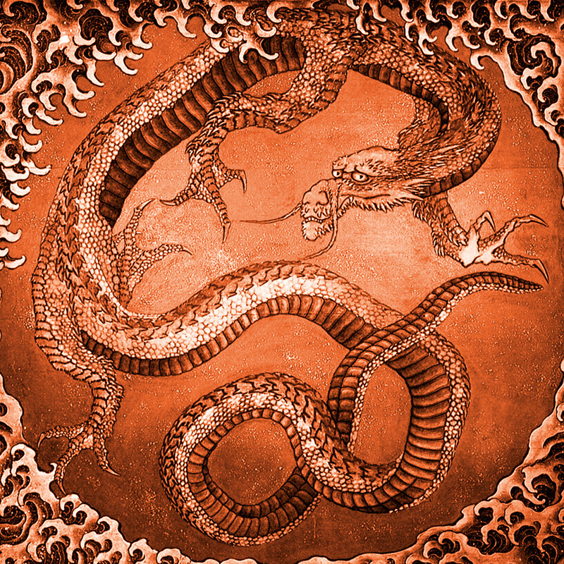 Décalcomanie murale amovible dragon japonaise, Orange