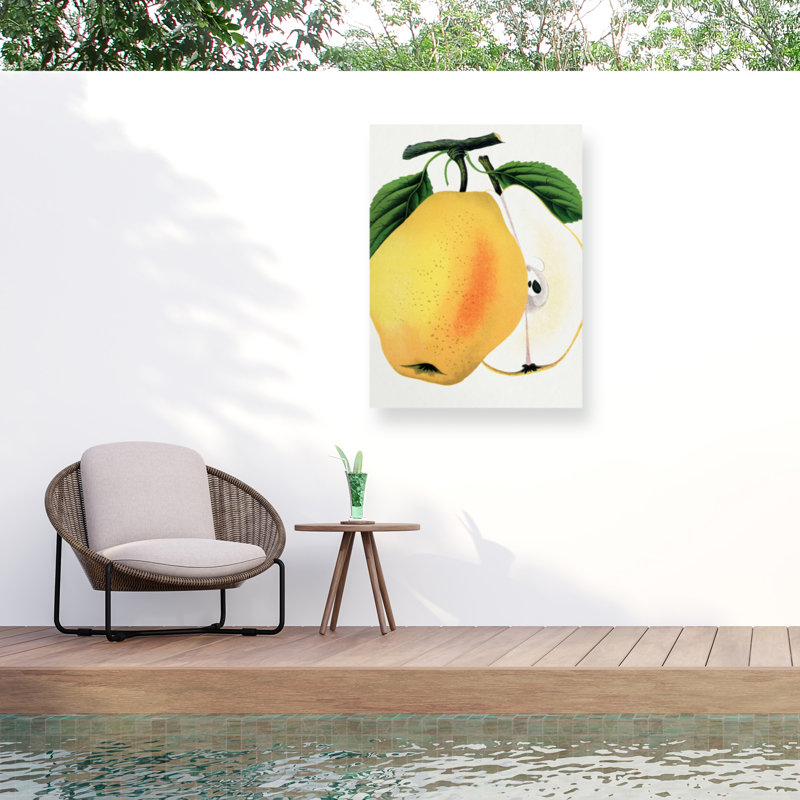 Botanical Specimen Rochester Kiefers Hybrid Pear Lithograph Outdoor  Canvas, H 18 po x l 24 po