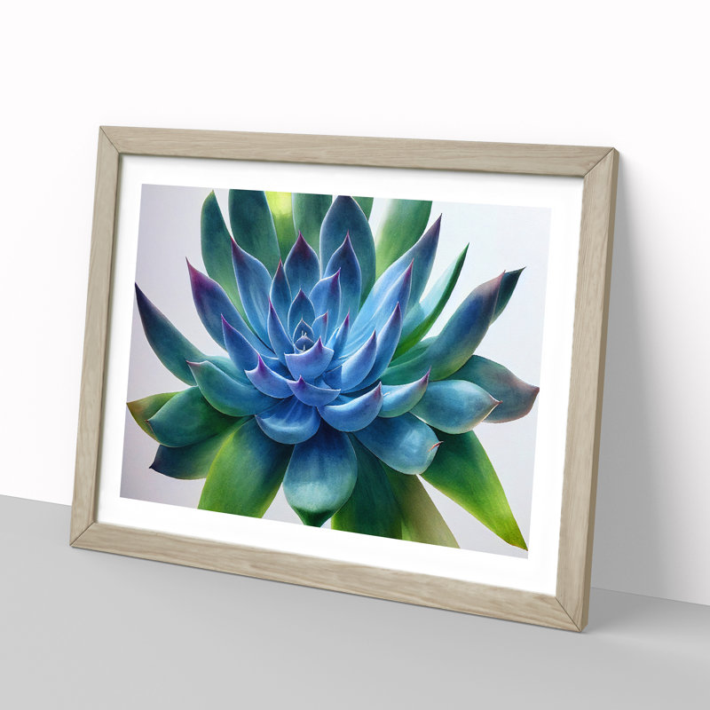 Watercolour Succulent Plant Vol.7 - Single Picture Frame Print, 46cm H x 64cm W, Grey