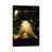 Close-up Of A Bell - Wrapped Canvas Print-1199378868