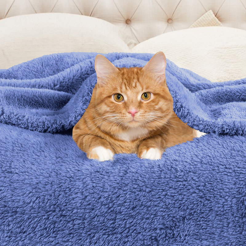 Blue Plush Fleece Reversible Throw Blanket