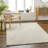 Indoor Rug-2095976503