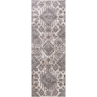 Oriental Indoor Rug