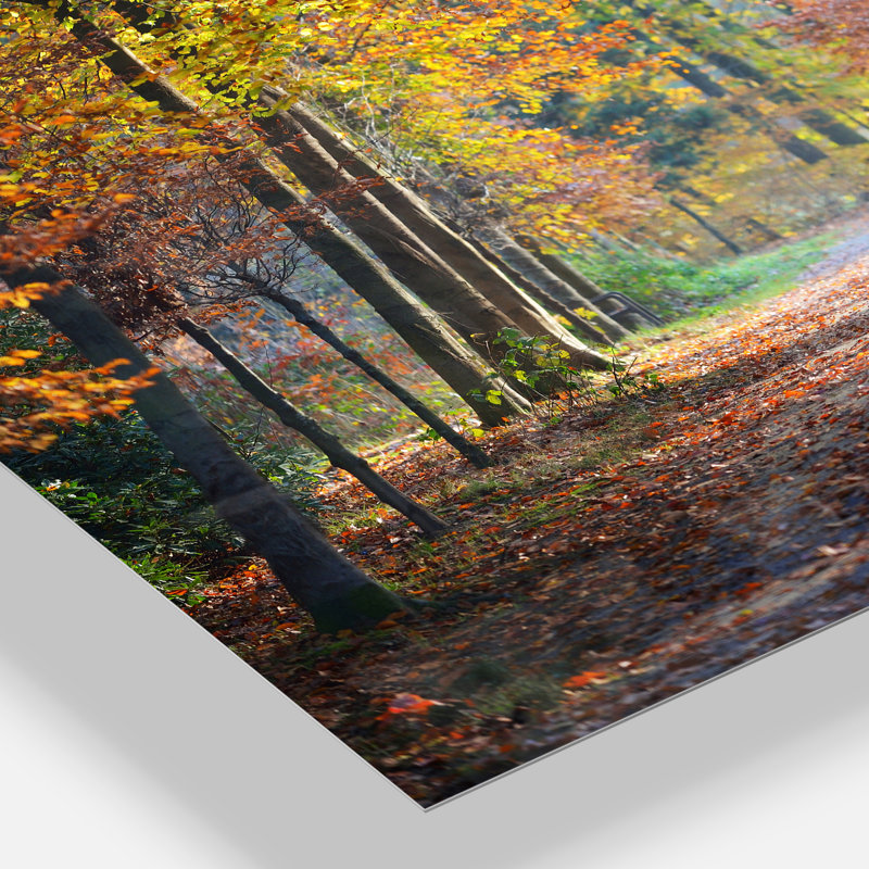 Large sentier dans la forêt d'automne jaune - reproduction de photo, Métal métal, H 34 po x l 44 po x P 4 po
