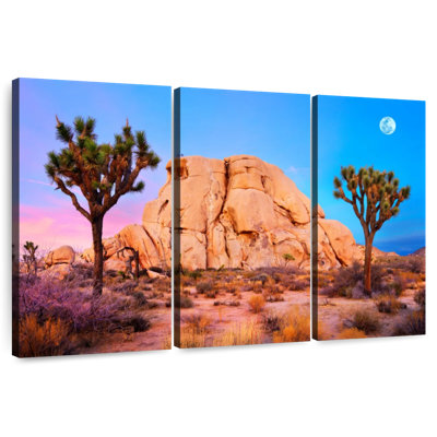 Aime Joshua Tree National Park II