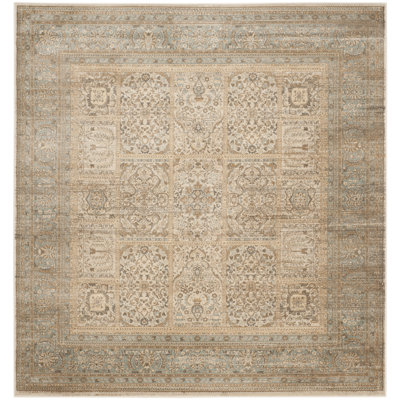 Oriental Area Rug