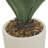 31'' Faux Agave Plant in Pot