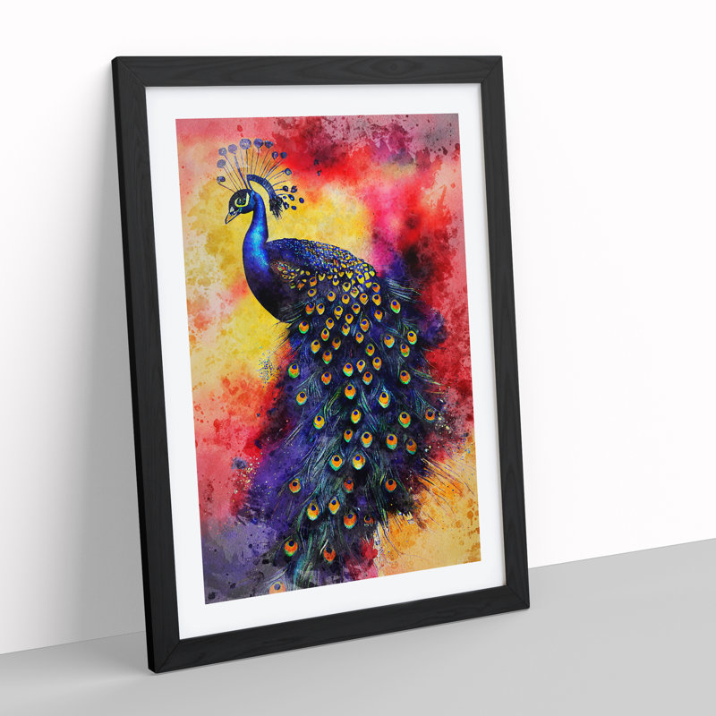 Exciting Peacock No.1 - Single Picture Frame Print, Black Framed, 34cm H x 25cm W x 2cm D