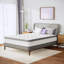 Matelas hybride 14 po Wayfair Sleep - moelleux - simple TG-170954011-201749761