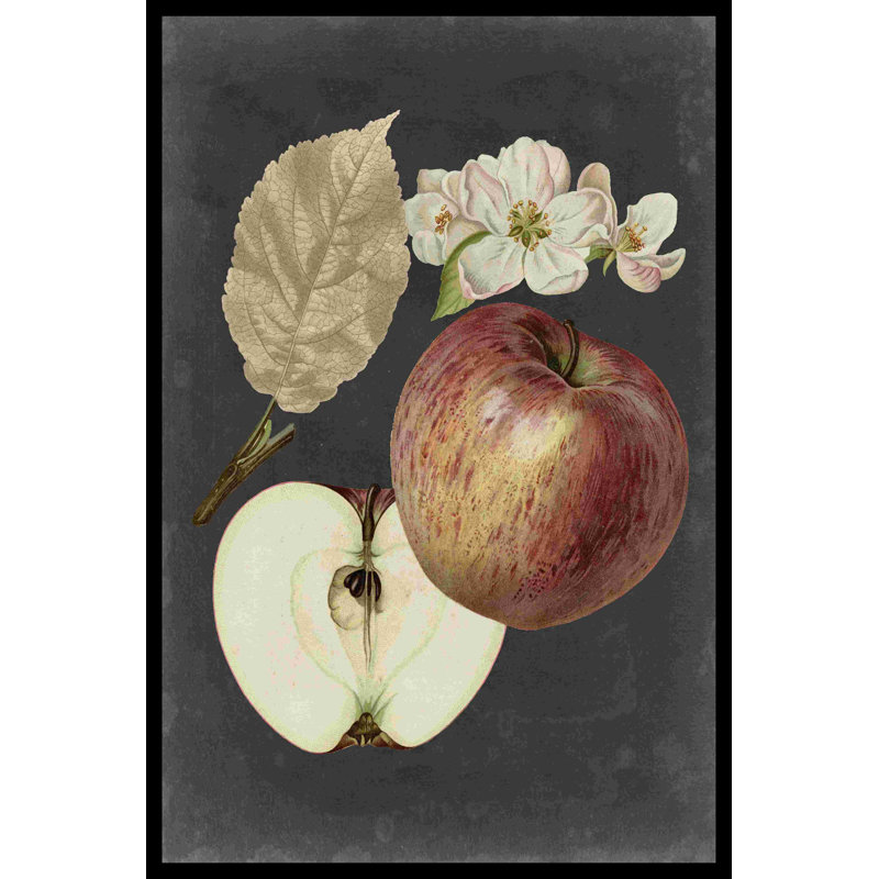 «Midnight Harvest II» par Vision Studio - impression sur toile tendue, H 18 po x l 12 po