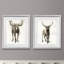 «Majestic Wildlife I», ensemble de 2 reproductions d'art sur papier encadrées