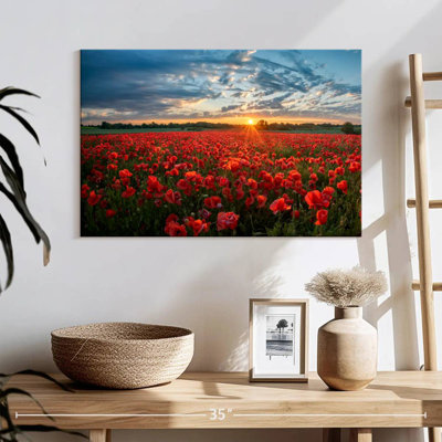 Lever de soleil sur le coquelicot rouge