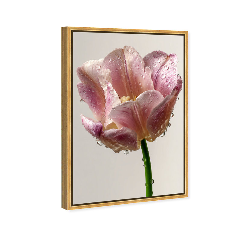 Droplet Tulip I Floral & Botanical Canvas Print by Oliver Gal, Black Frame, 10 x 15, 31"H x 46"W, Gold Floater Frame