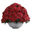 Giant Poinsettia Floral Arrangement in Planter