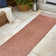 Alda Modern Minimalist Mingled Solid Salmon/Cream Indoor/Outdoor Rug