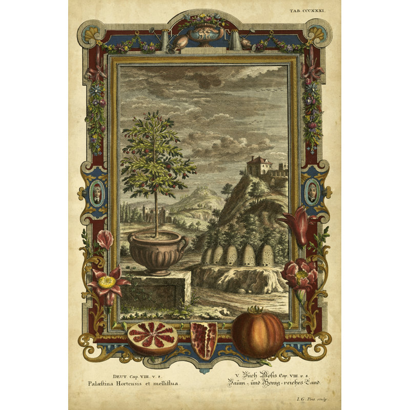 Genesis Fruits IV - Wrapped Canvas Painting, 46cm H x 30cm W